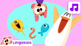 HICKORY DICKORY DOCK 🎵🕰️🐟 Best Nursery Rhymes for Kids  Lingokids [upl. by Ashlen]