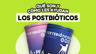 Diarreas💩 Trastornos digestivos en mascotas ¡Te contamos cómo ayudarles a mejorar [upl. by Yoccm991]