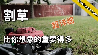 割草的知识和技巧  养护好草坪最重要的环节之一  how to mow a lawn  尅尅amp凯西的后花园 [upl. by Man714]