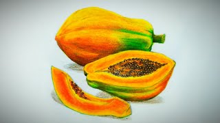 Papaya and slices drawing and pencil coloring tutorial  Freehand drawing  Realistic drawing [upl. by Theurer]