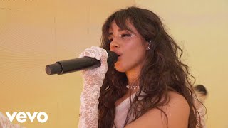 Camila Cabello  Living Proof Live from the 2019 AMAs [upl. by Naltiac]