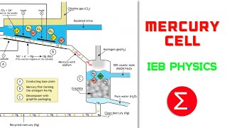 Mercury Cell  ChlorAlkali Industry  IEB Physics  Excel Academy [upl. by Notsek722]