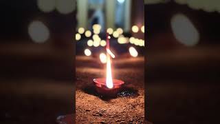 Happy Diwali 2024october 31 festival of lights youtubeshorts [upl. by Egoreg]