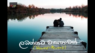 Labannata Wasanawak Slowed amp Reverb song kassa music slowedreverb [upl. by Aicenert865]