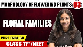 MORPHOLOGY OF FLOWERING PLANTS 03  Floral Families  Botany  Pure English  Class 11thNEET [upl. by Philbo]