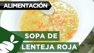 Recetas Sopa de lenteja Roja [upl. by Davide262]