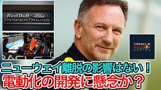 【 F1 2024 】レッドブルのF1エンジン、フォードは当初の想定以上に貢献しているとラッシュブルック、開発遅延の噂には競合他社のことは分からない！【 F1 】【 F1 動画 】 [upl. by Auqemahs]