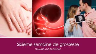 6 semaines de grossesse OU sixième semaine de grossesse [upl. by Lohrman214]