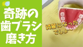 【保存版】奇跡の歯ブラシおすすめの磨き方！ [upl. by Nomzaj]