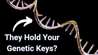 How MicroRNAs Shape Our Health nucleotidesorg [upl. by Atwater]