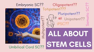 All About Stem Cells  Cell Potency amp Stem Cell Types Updated 2020 [upl. by Ofloda728]