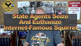 State Agents Seize And Euthanize InternetFamous Squirrel [upl. by Lancey]