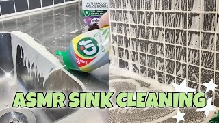 ASMR Sudsy Sink Cleaning Sensation 🧼 [upl. by Leamsi237]