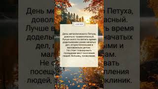 24 октября рекомендации дня  Китайский календарь астрология прогнознадень китайскийкалендарь [upl. by Ambrosia]