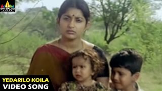 Gorintaku Songs  Yedarilo Koila Video Song  Rajasekhar Aarti Agarwal  Sri Balaji Video [upl. by Levine425]