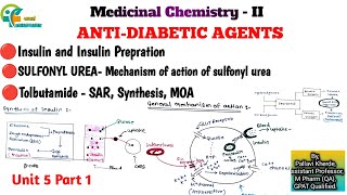 antidiabetic agents insulin and insulin preparation sufonyl urea moa Tolbutamide synthesis sar moa [upl. by Htebazie25]