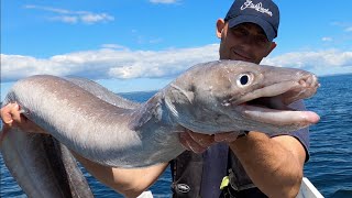 Deep Sea Fishing on Shipwrecks  Ling amp Conger Fishing  Sea Fishing UK  The Fish Locker [upl. by Ileek]