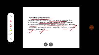 Q Discuss about RBC and RBC indices [upl. by Etnoled]