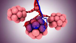 Quest ce que la fibrose pulmonaire [upl. by Lea]