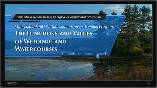 Wetland Functions amp Values Chapter 1 Introduction [upl. by Mollee]