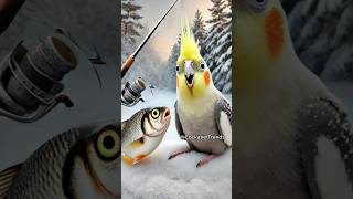 I seriously don’t want to hurt you 😳🦜🐟 funny parrot cockatiel [upl. by Rahcir]