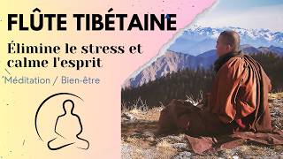 Flûte Tibétaine Relaxante  Musique pour Méditation Sommeil et Relaxation [upl. by Sarge254]