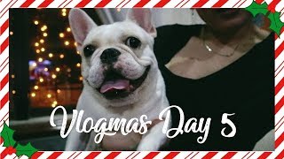 🎄UAAP FINALS amp OUR SECRET PRACTICE🎄 Vlogmas Day 5  Karla Aguas [upl. by Ferdinanda]