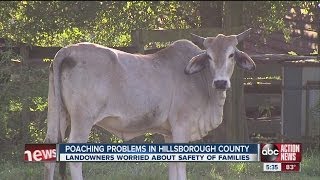 Landowners experience deer poaching [upl. by Aretse]