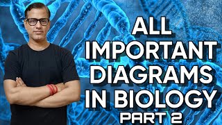 All Important Diagrams of Biology  Diagram Based Questions  ICSE Class 10  sirtarunrupani [upl. by Muns314]