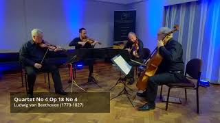 Trailer Maggini String Quartet [upl. by Llerod195]