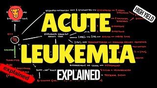 ACUTE LYMPHOCYTIC LEUKEMIA Pathogenesis Mechanism of clinical symptoms Pathology [upl. by Teerprug]