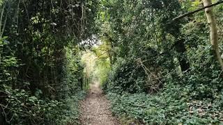 November 2024 Short Hike Over The South Downs Part 13 Worthing  Findon Valley [upl. by Blunk391]