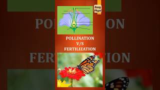 Pollination vs Fertilization Class 10 Reproduction in Plants shorts [upl. by Goulder]