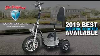 Best Electric Scooter 1000W Rear Drive [upl. by Driskill616]