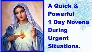 QUICK AND POWERFUL NOVENA ON URGENT SITUATIONS  One Day Novena [upl. by Ahsenauq]