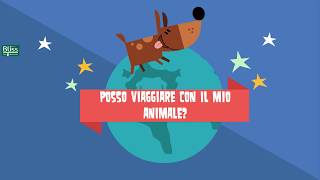 4 Cose da Sapere sul Volo del tuo Animale Domestico  Bliss Pets [upl. by Brunhilde46]