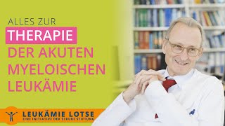 Therapie einer akuten myeloischen Leukämie [upl. by Aniz290]