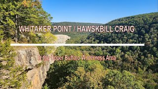 Hike to Whitaker Point Hawksbill Crag in the Arkansas Ozarks [upl. by Udenihc]