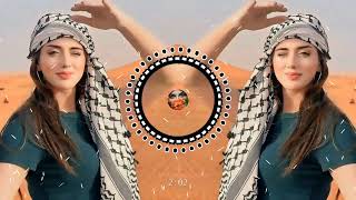 Arabic Remix Song 2023  Arabic Song  Slowed Reverb  Bass Boosted  slowedandreverb arabicmusicw [upl. by Galliett]