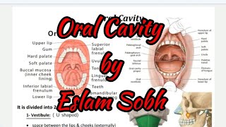 Oral Cavity L1 P1  Eslam Sobh [upl. by Hay]