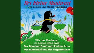 Der kleine Maulwurf  Der Maulwurf und der Regenschirm [upl. by Gnart]