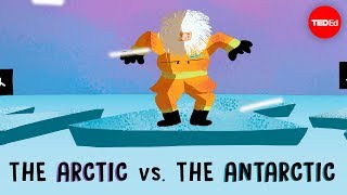 The Arctic vs the Antarctic  Camille Seaman [upl. by Eleik731]