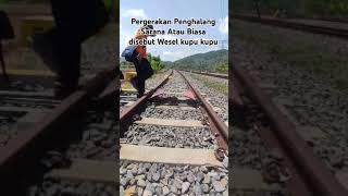 Wesel Kupu Kupu fypシ゚viral trending keretaapi reels shortvideo indonesianrailroad railfans [upl. by Suivatnod989]