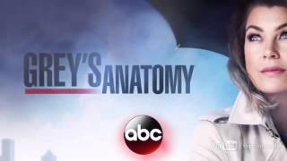 Anatomia de Grey 12x14 Promo Temporada 12 Capitulo 14 [upl. by Koral]