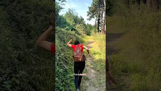 Survival bushcraft skills 🫡 shortsvideo bushcraft lifehack [upl. by Glynn]