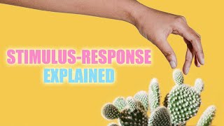 StimulusResponse Reflexes and Homeostasis [upl. by Ollie850]