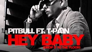 Pitbull Feat T PainHey Baby Afrojack Fire Remix [upl. by Sakmar]