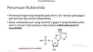 Tata Nama Nukleotida [upl. by Ahseat654]