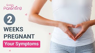 2 Weeks Pregnancy Symptoms  Know the Very Early Signs of Pregnancy [upl. by Keldon488]