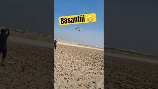 Basant Kite Flying Video patangbazi kitefestival basantinternational [upl. by Arednaxela190]